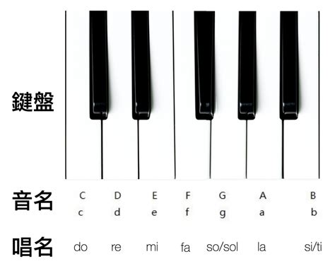 鋼琴位置|【圖解】學習鍵盤的正確位置和音符